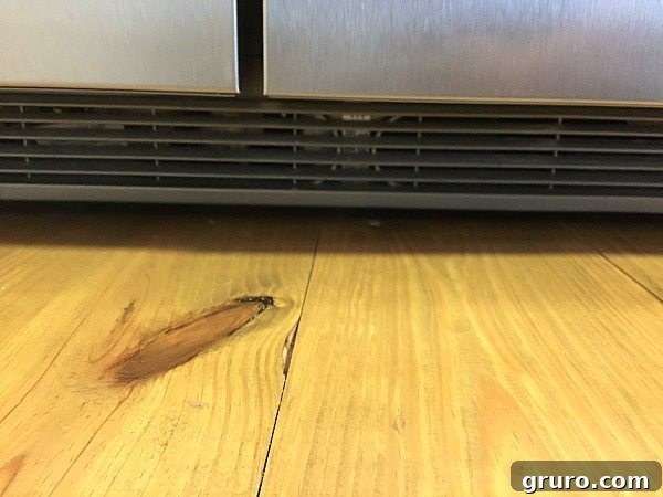 Vacuum or use a brush to remove dust from the front and rear of your refrigerator