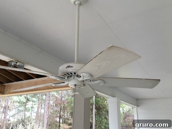 Clean outdoor fan blades with vinegar and water or a degreaser every season