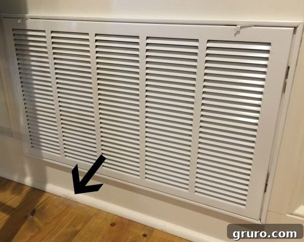Dust and dog hair can cling to the filter and grill - be sure to clean it well