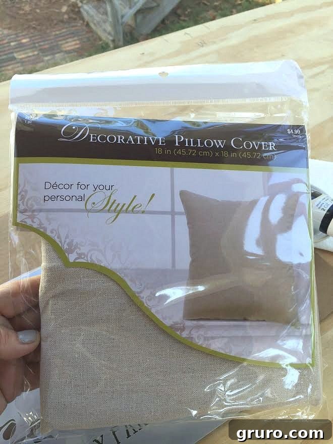 Great pillow cover get it on sale for less than 3 dollars at Hobby Lobby