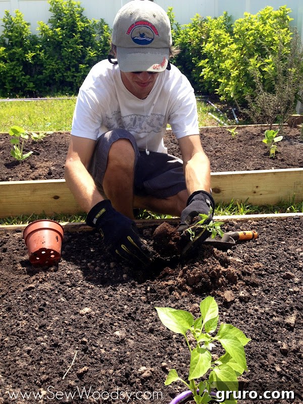 Mr. Woodsy carefully planting a small vegetable plant into the prepared soil of the raised garden bed.