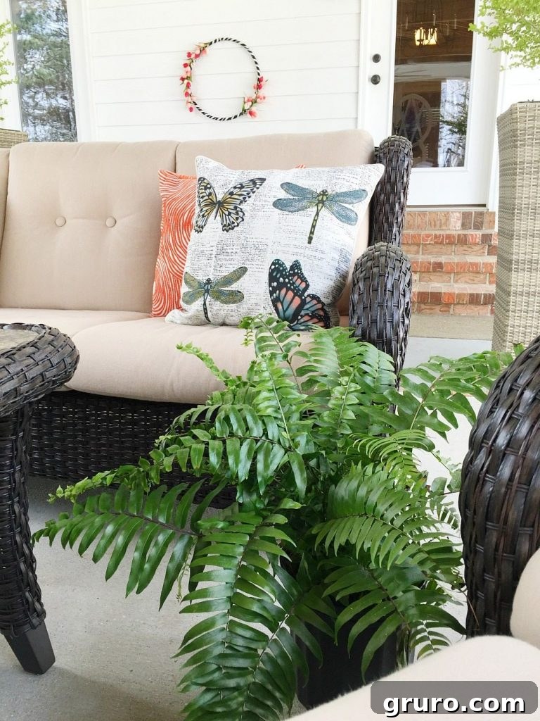 Ferns are perfect for the farmhouse porch