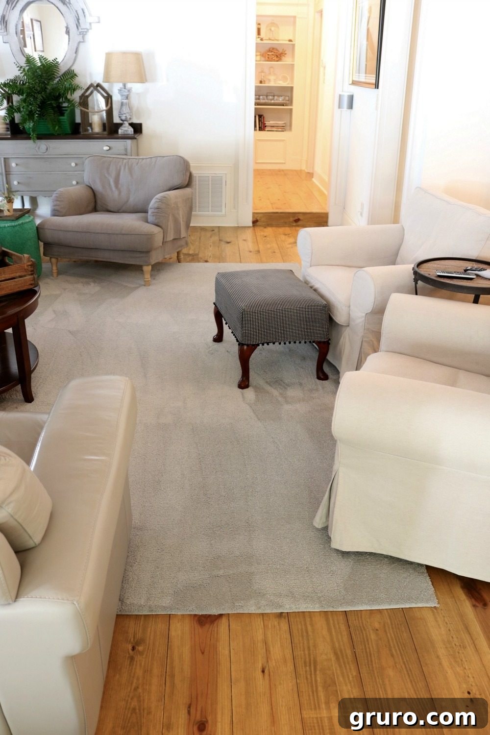 Room-sized PetProof carpet transforms living space into a pet-friendly oasis