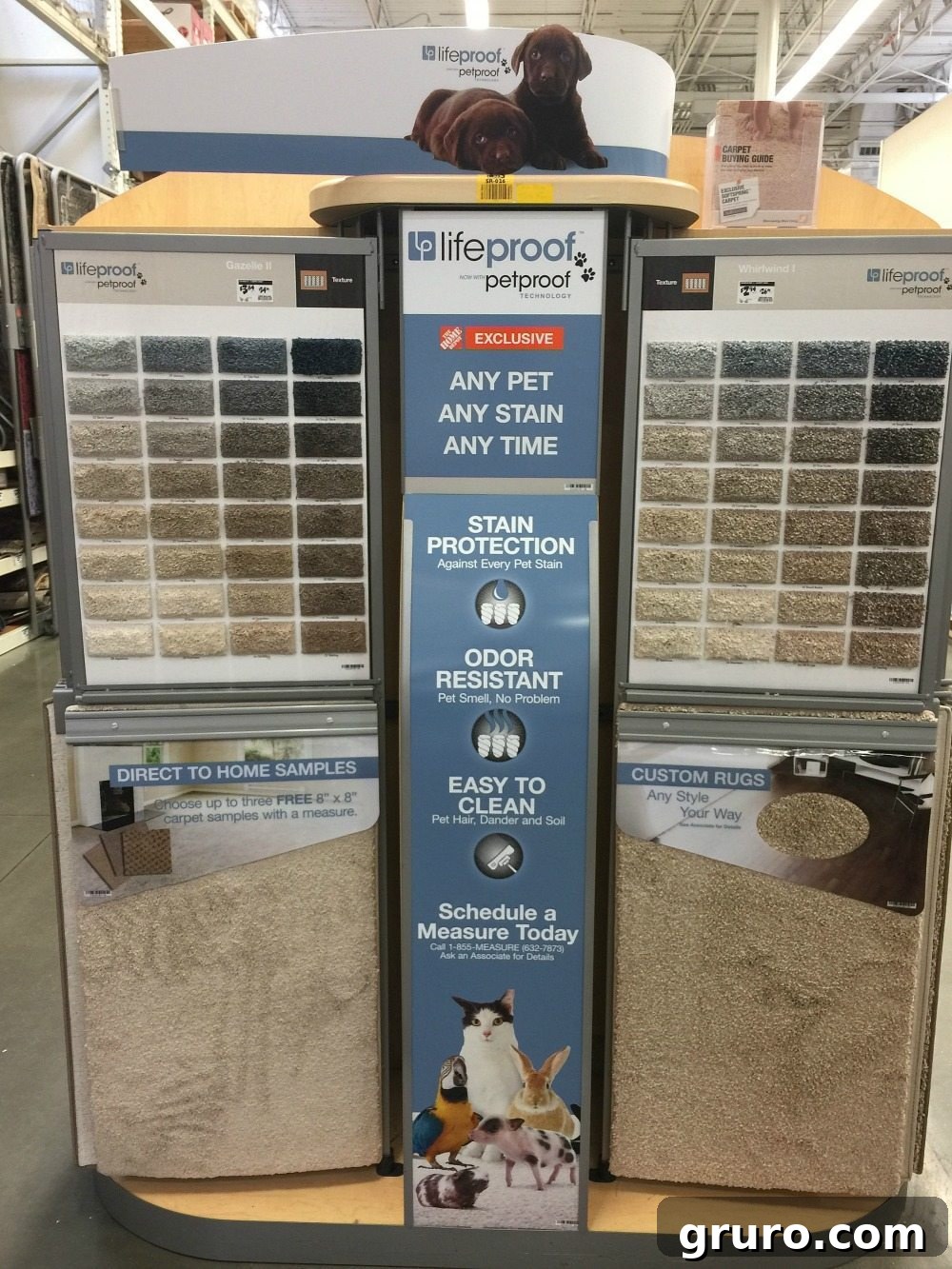 Favorite LifeProof Pet Proof Carpet in a stunning living room setting
