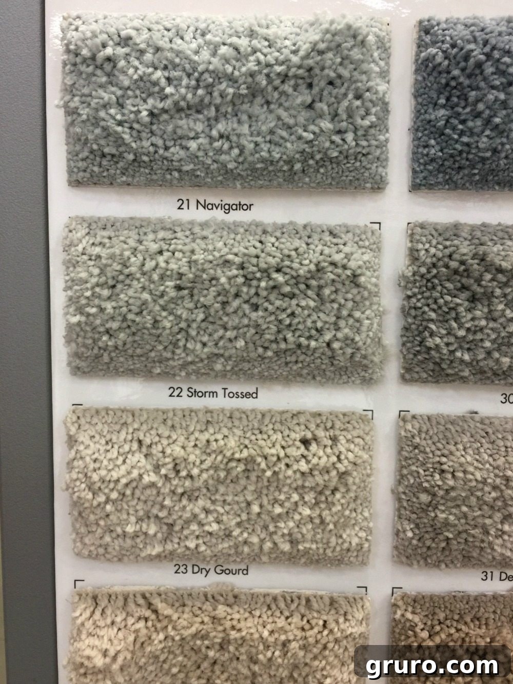 Detailed view of the Storm Tossed color in PetProof Carpet, ideal for dog lovers