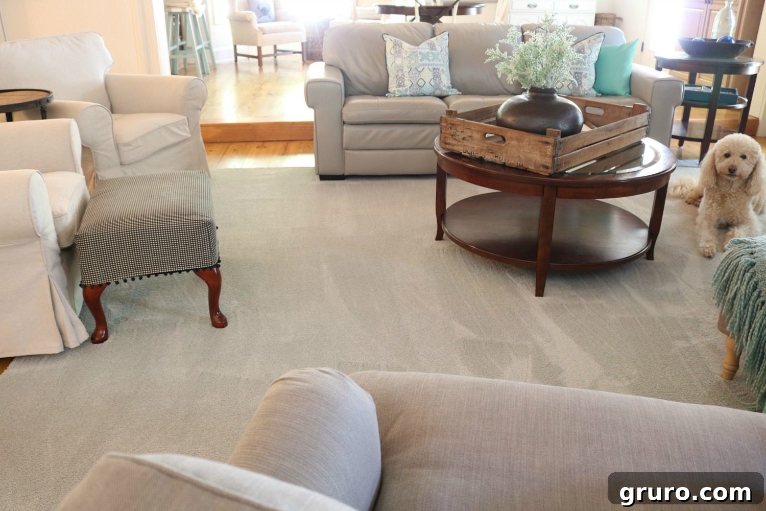 We love the Storm colored PetProof carpet, easy to clean and perfect for dog owners