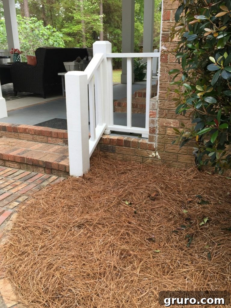 5 Secrets to a Thriving Spring Garden 2 Entry before adding color to the side entry