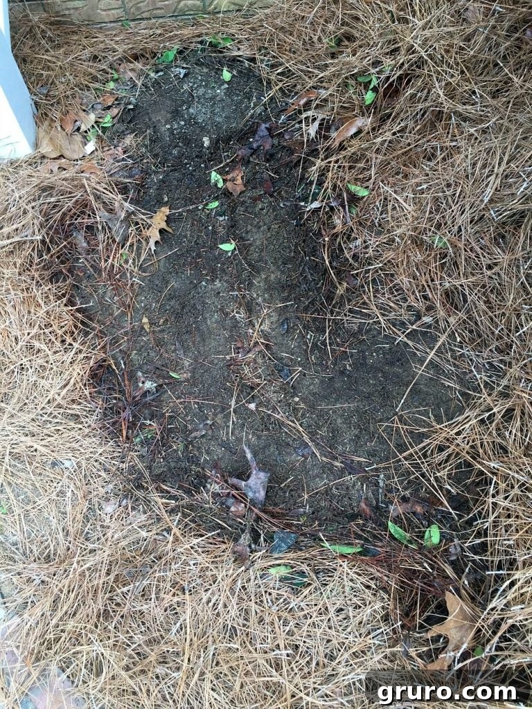 5 Secrets to a Thriving Spring Garden 3 Prep well before planting