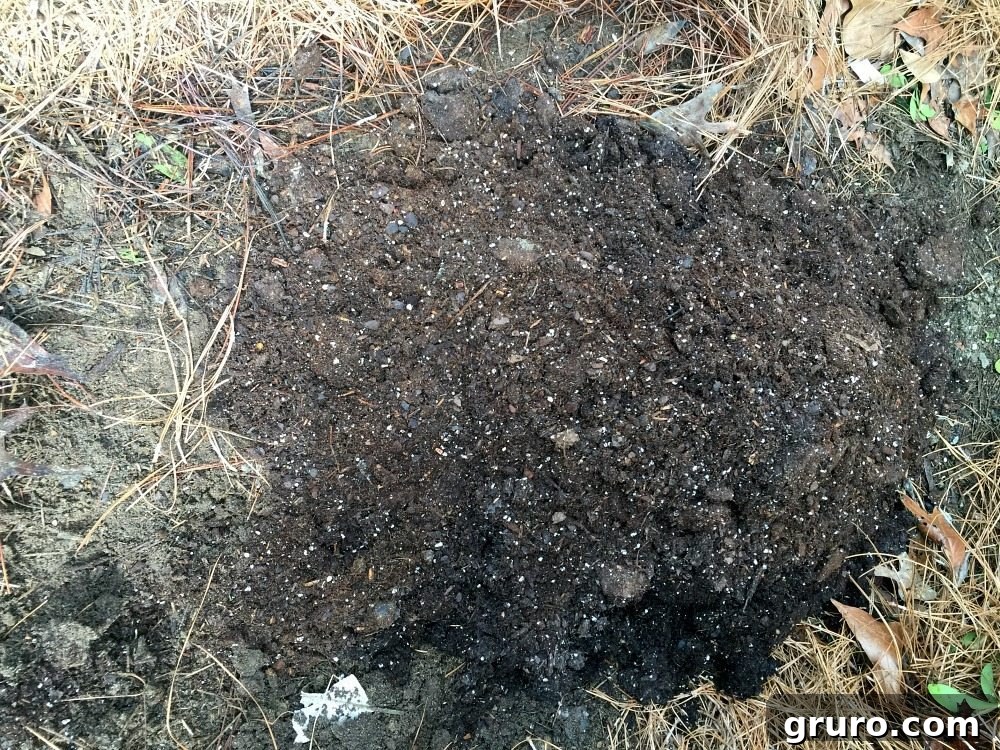 5 Secrets to a Thriving Spring Garden 4 Prep soil before planting