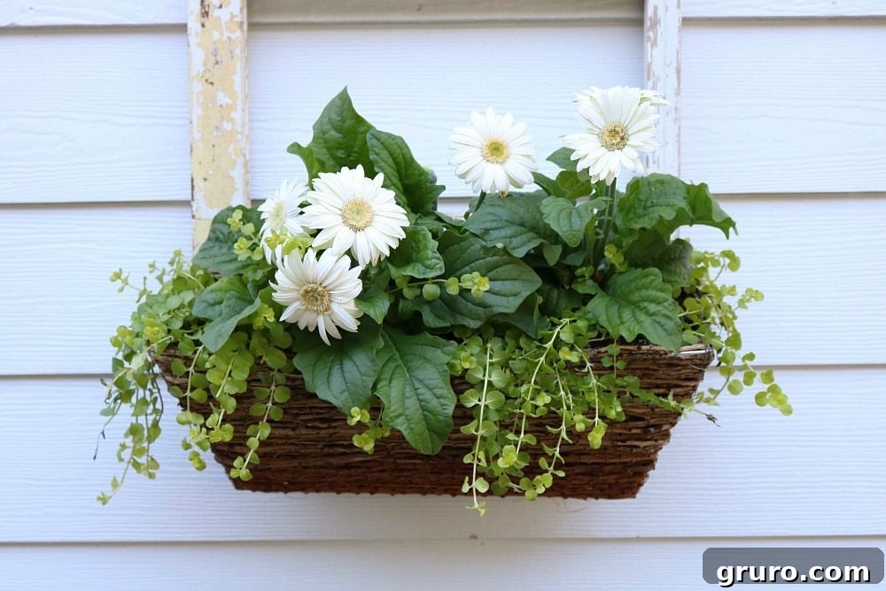 An old window creatively repurposed into a beautiful hanging window planter, brimming with lush greenery and vibrant flowers.