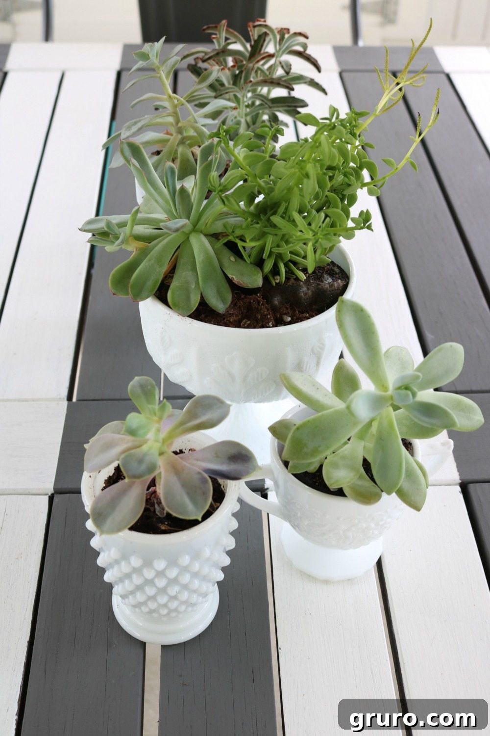 Close-up of a white milk glass bowl with a vibrant green succulent arrangement