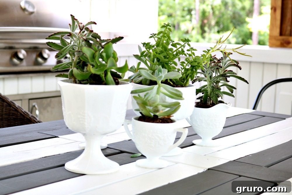 Small succulent planted in a delicate white milk glass compote dish