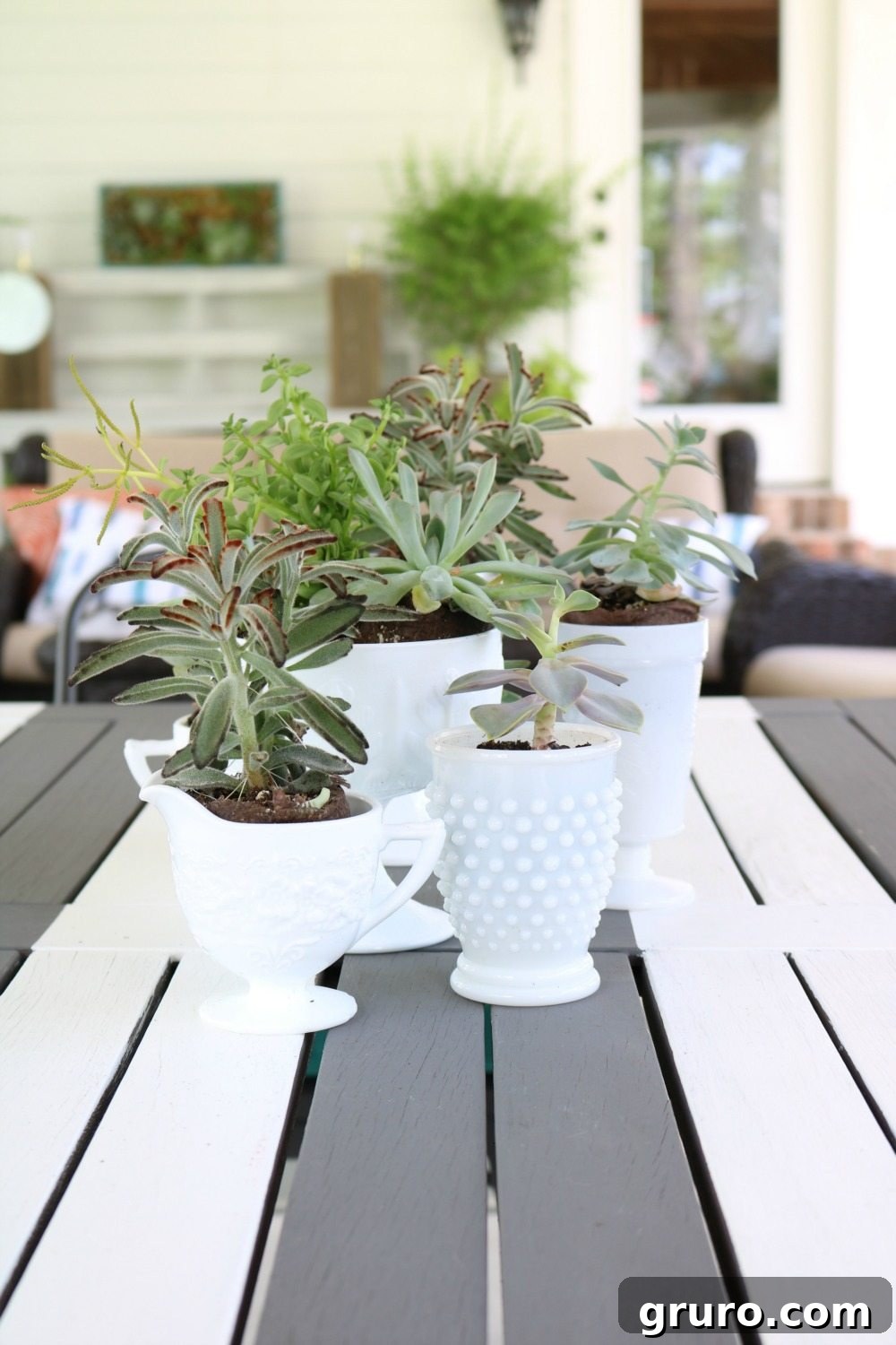 Succulents on a patio table serving as a beautiful centerpiece, with a vertical garden visible in the background