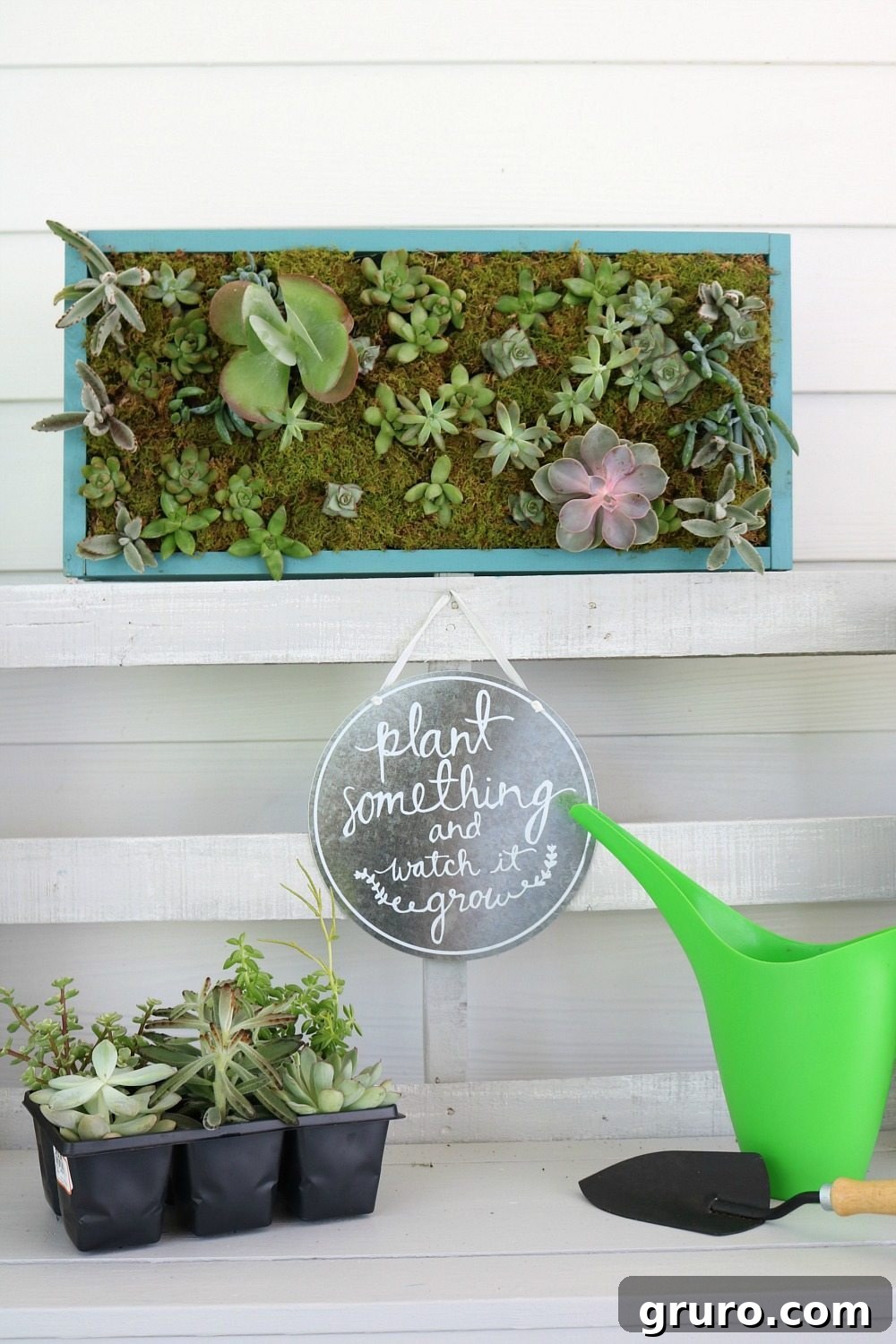 Detailed view of a DIY vertical succulent garden with various succulent types