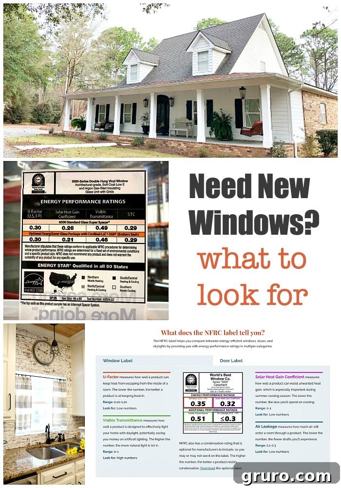 Key Features to Look for in Energy-Efficient Windows