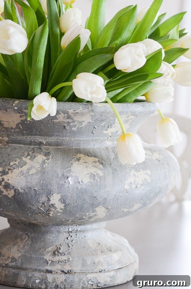 Learn how to make your cut tulips last longer with expert tips. How To Care for Cut Tulips