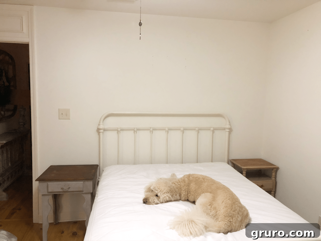 Another before image showing the guest room's uninspired state with the bed against the wrong wall