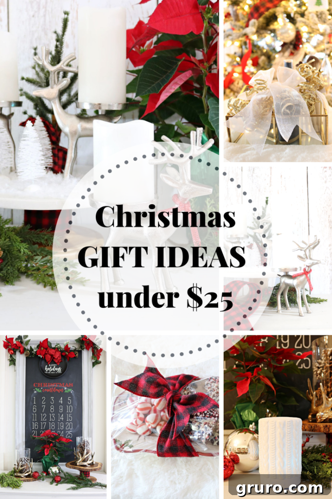 Affordable Christmas Gift Ideas Under $25 for Everyone