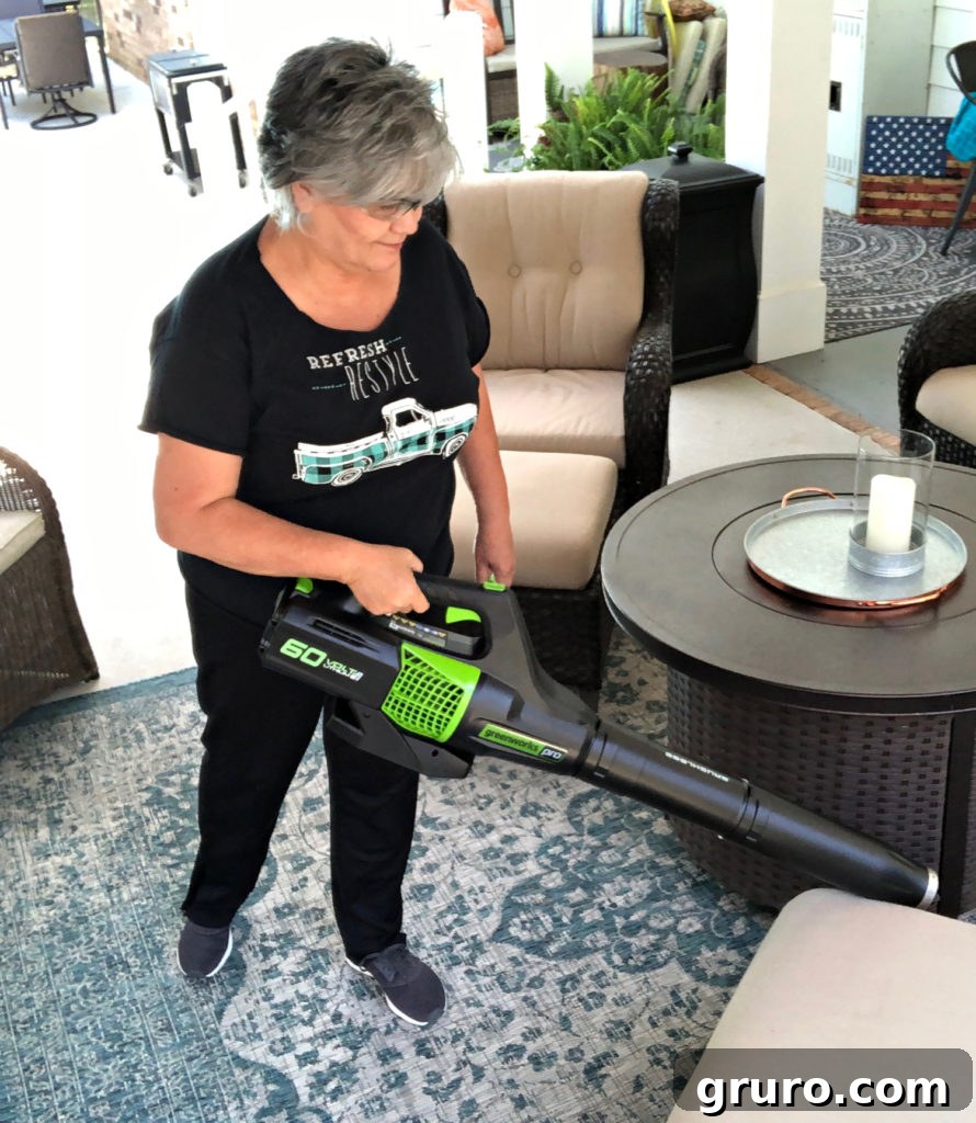 Maximize Your Outdoor Fun: Summer Party Prep 4 Clean with blower for outdoors