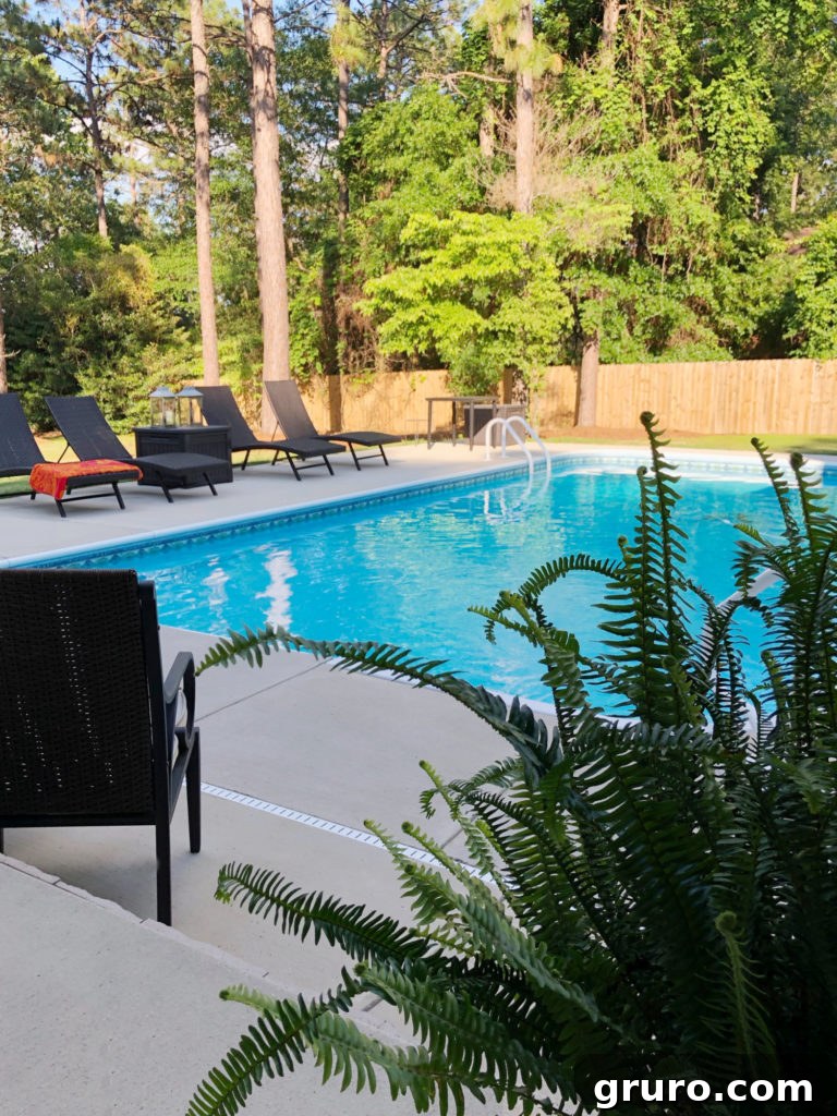 Maximize Your Outdoor Fun: Summer Party Prep 6 Cleaned and ready