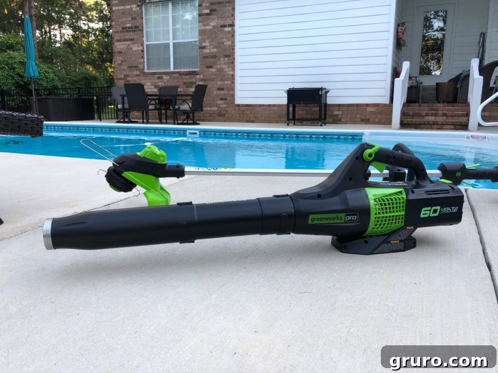 Maximize Your Outdoor Fun: Summer Party Prep 7 Greenworks 60volt blower