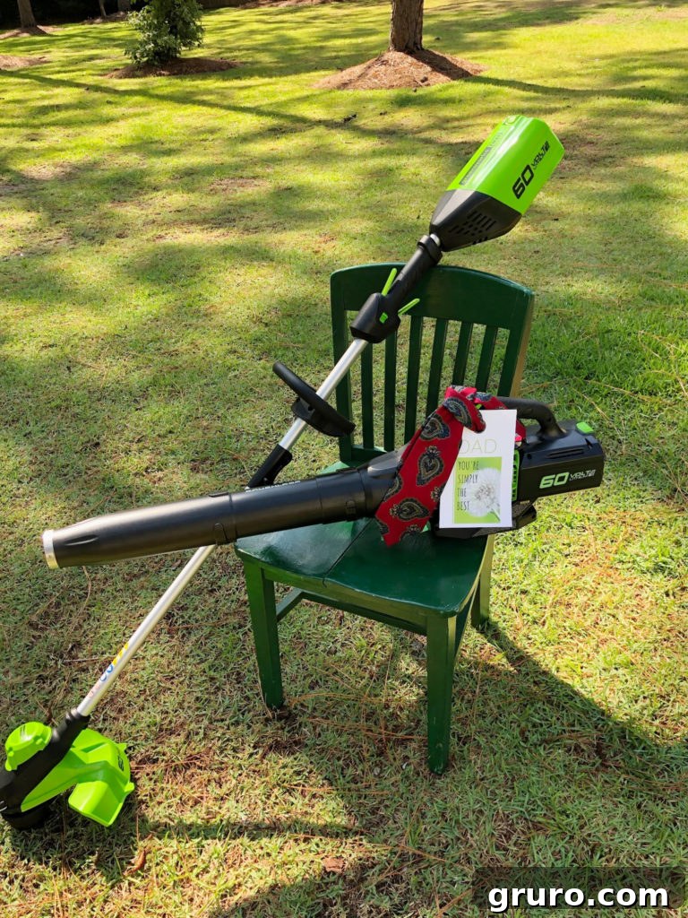 Greenworks blower and trimmer as a Father's Day gift idea