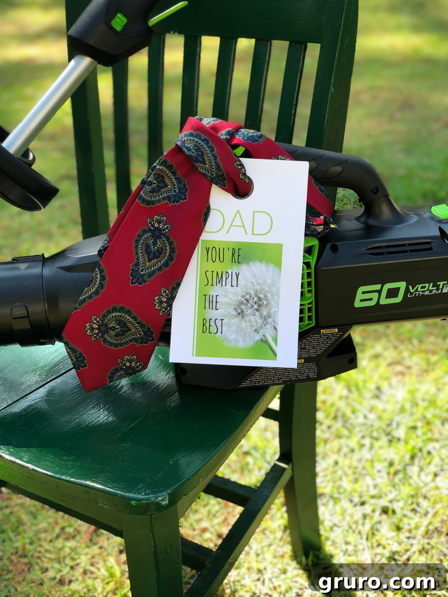 Greenworks tools packaged with a tie for a Father's Day gift