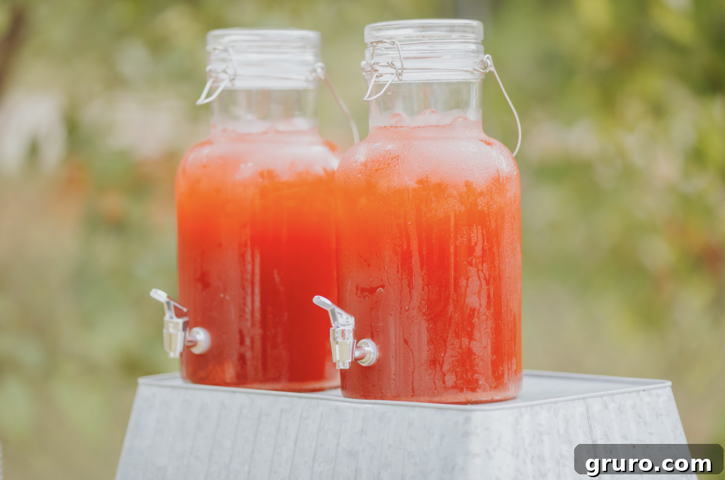 7 Essential Summer Refreshers for Lively Socials 3 Various colorful summer drinks with fruit and garnishes.
