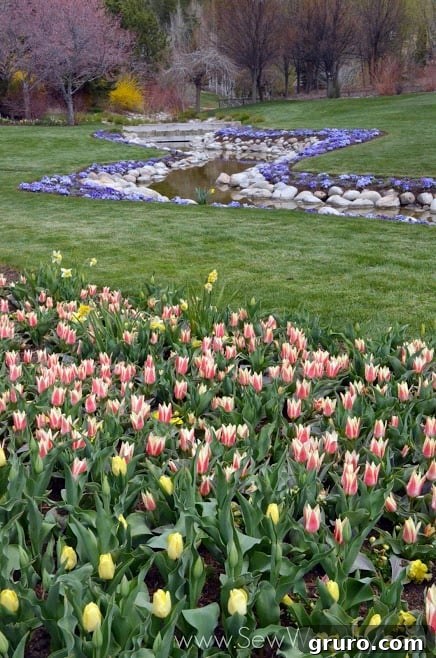 Tulip Festival, Lehi Utah - Thanksgiving Point Gardens via SewWoodsy.com 