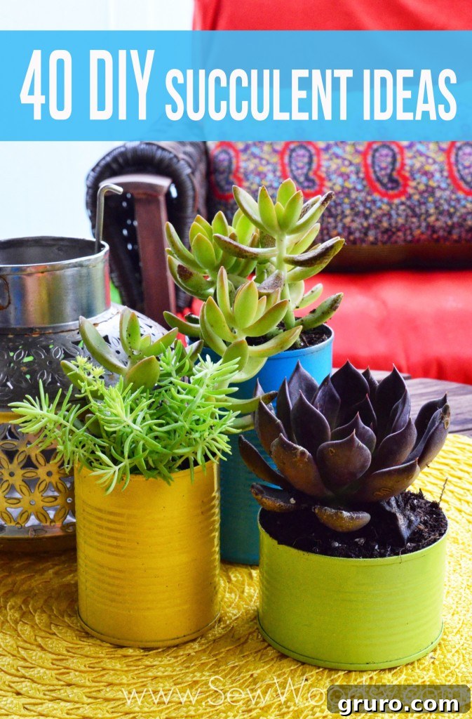 A vibrant collection of 40 DIY succulent ideas, showcasing creative ways to display these low-maintenance plants.