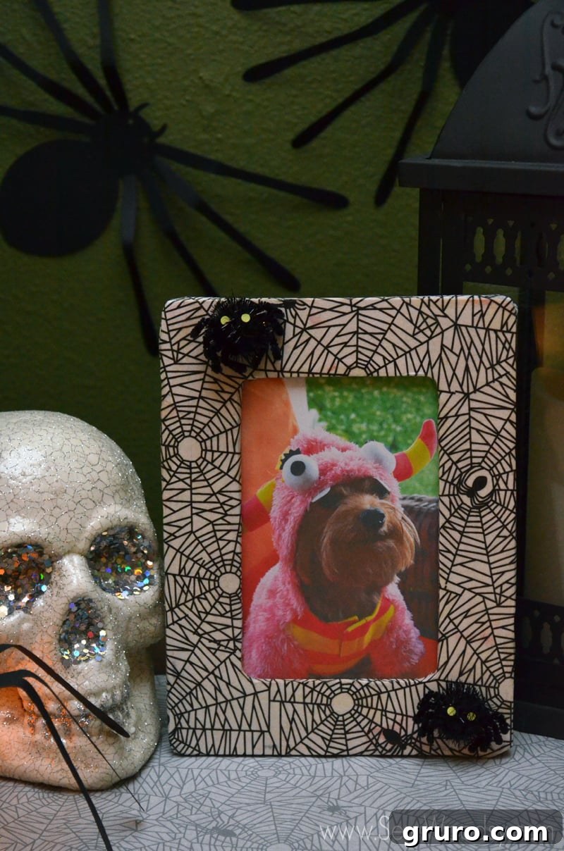Finished Decoupage Spider Web Picture Frame with a cute dog photo, featuring 3D spiders and glow-in-the-dark effect. A charming DIY Halloween decoration by SewWoodsy.com.