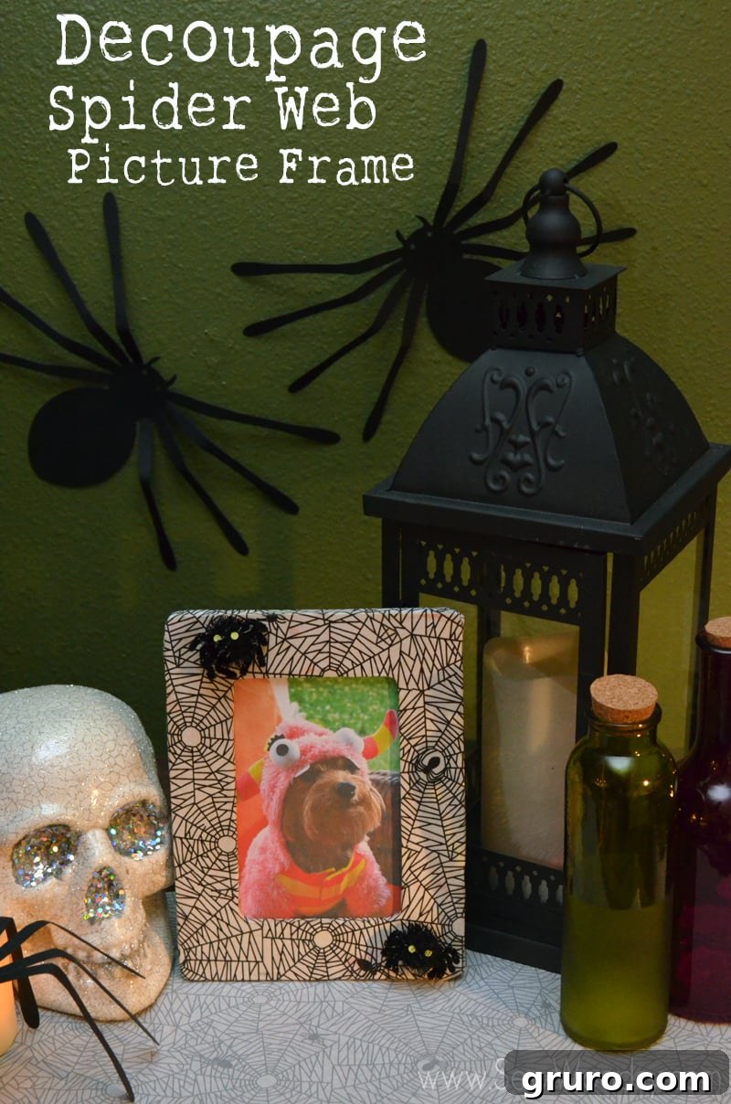Decoupage Spider Web Picture Frame for Halloween featuring a cute dog, made with Martha Stewart Crafts Glow In the Dark Decoupage from SewWoodsy.com - A perfect DIY Halloween craft project.