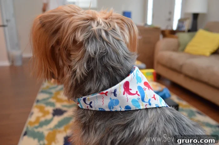 Lola the dog wearing a whale patterned bandana