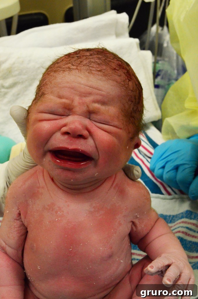 Ryder's first moments, a new life begins.