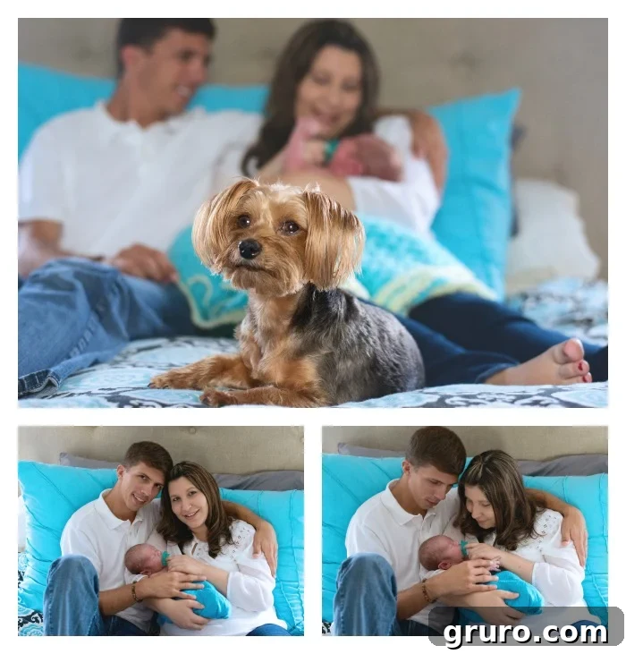 Ryder Tiny Miracles Captured 9 Heartwarming Family Newborn Photography Session with Beloved Pet Lola