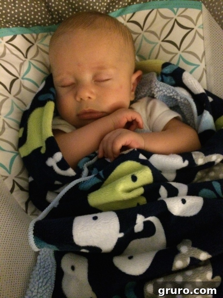 Ryder ready for the RYOBI/Home Depot closing party, even while asleep.