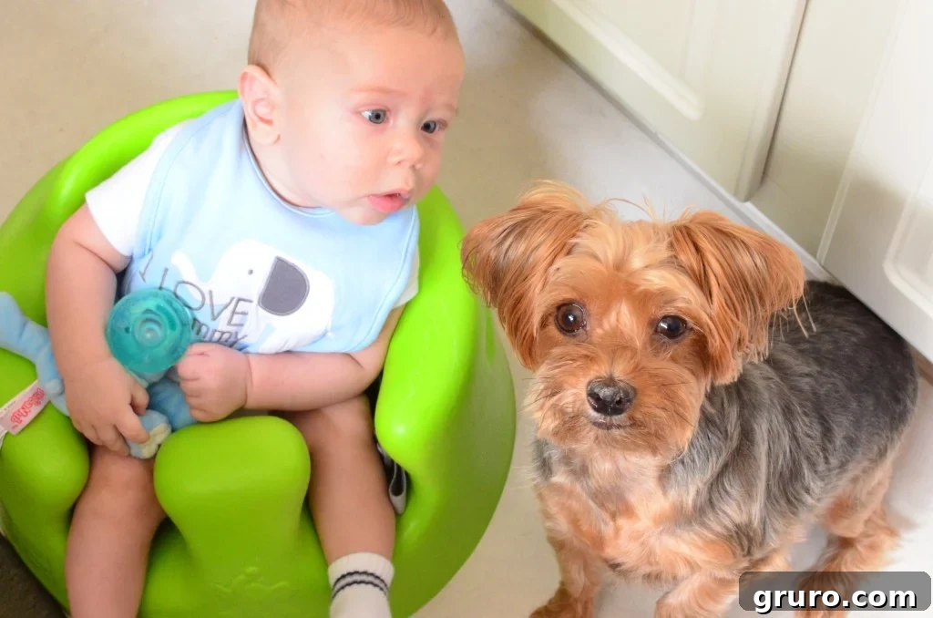 Ryder enjoying his Bumbo chair, gaining a new perspective in the living room