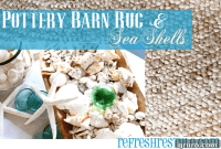 Coastal Comfort: Pottery Barn Rugs and Seashell Accents