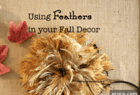 Feathery Fall Styling