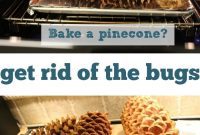Mastering Pinecone Baking