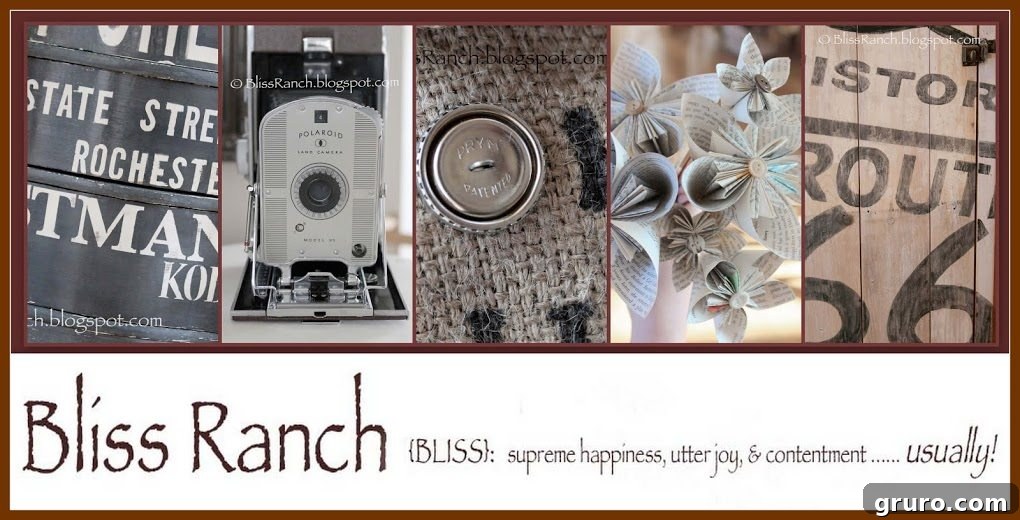 featured 11341