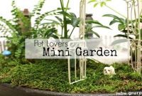 Paws & Pots: Miniature Gardens for Pet Lovers