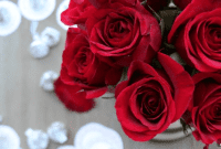 Valentine’s Day Printable Kiss Me Candy Coins