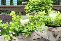 Rustic Clay, Candlelit Botanicals