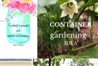 Small Space Gardens