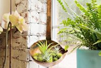Chic Brass Planter on a Budget