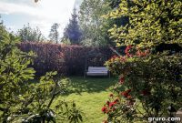 The True Cost of Spring Yard Cleanups