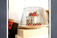 Chicken Wire Cloche