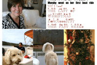 Miscellaneous Musings