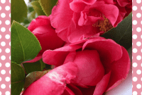 Timeless Blossom